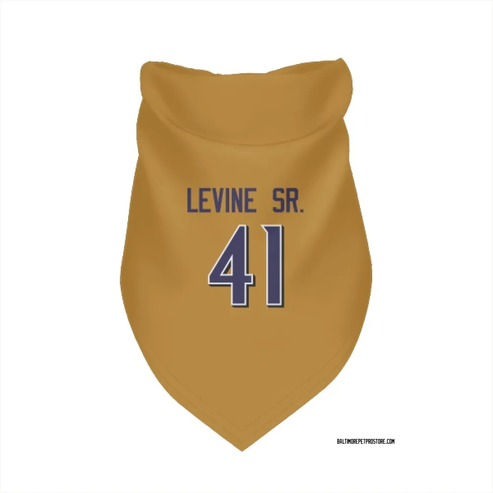 Baltimore Ravens Anthony Levine Sr. Gold Pet Bandana for Dog & Cat