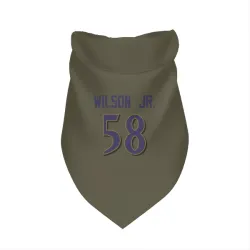 Baltimore Ravens Dion Wilson Jr. Olive Pet Bandana for Dog & Cat