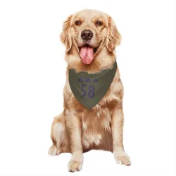 Baltimore Ravens Dion Wilson Jr. Olive Pet Bandana for Dog & Cat
