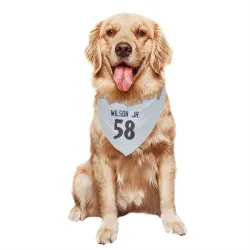 Baltimore Ravens Dion Wilson Jr. White Pet Bandana for Dog & Cat