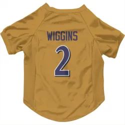 Baltimore Ravens Nate Wiggins Gold Pet Jersey for Dog & Cat