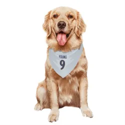 Baltimore Ravens Zion Young White Pet Bandana for Dog & Cat
